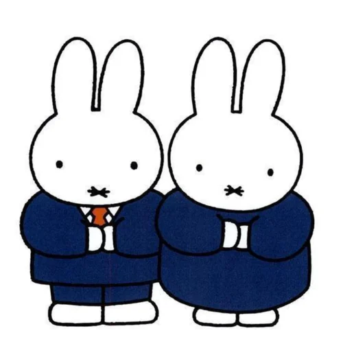 Nijntje Kleine Pluis -Baby Verzorging 1153x1200 2