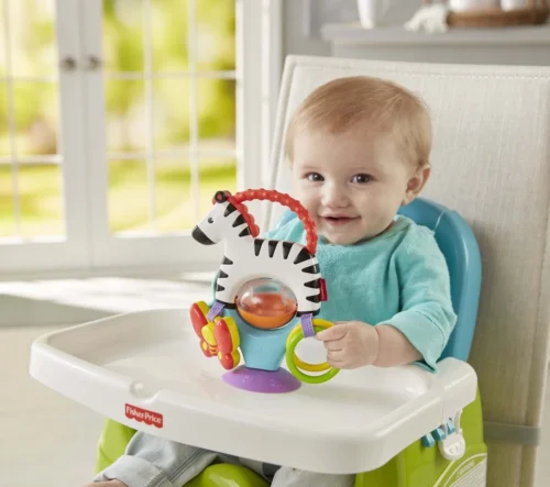 Fisher Price - Activity Zebra - Rammelaar - Speeltje En Bijtring - Grijpspeelgoed -Baby Verzorging 1200x1064