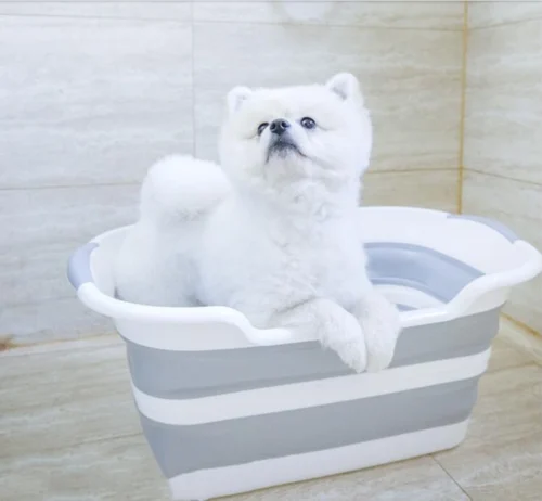 Merkloos Baby Badje Opvouwbaar - Multifunctioneel - Wasmand - Opbergmand - Speelgoed Opslag - Babybadje 7 Merkloos Baby Badje Opvouwbaar - Multifunctioneel - Wasmand - Opbergmand - Speelgoed Opslag - Babybadje -Baby Verzorging 1200x1108 10