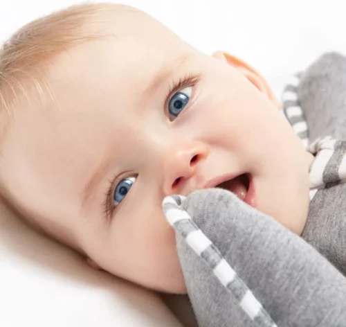 Love To Dream™ Babyslaapzak Swaddle Up™ - Inbakeren - Baby 0-2 Maanden - 2.2-3.8 Kg - All Season - Grijs 6 Love To Dream™ Babyslaapzak Swaddle Up™ - Inbakeren - Baby 0-2 Maanden - 2.2-3.8 Kg - All Season - Grijs -Baby Verzorging 1200x1132 5