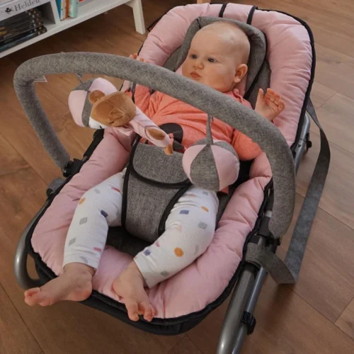 Baninni Wipstoel Admiro Roze-Grijs 7 Baninni Wipstoel Admiro Roze-Grijs -Baby Verzorging 1200x1200 1032