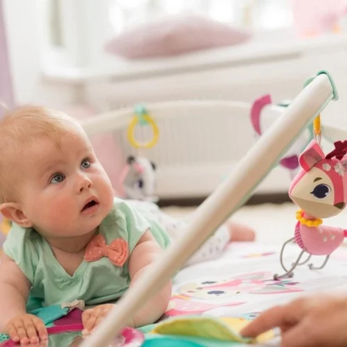 Tiny Love Deluxe Babygym - Princess Tales - Roze -Baby Verzorging 1200x1200 45