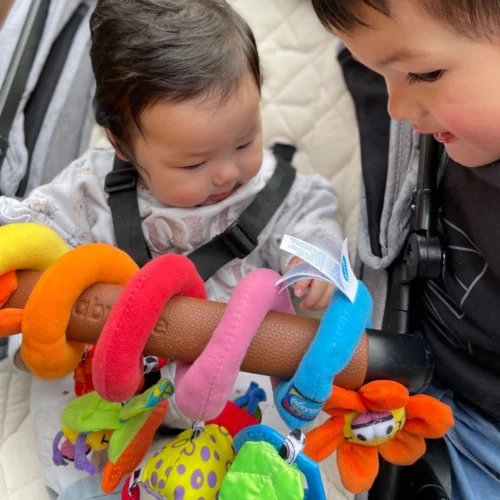 Playgro Boxspiraal Amazing Garden Twirly Whirly - Kinderwagen Speeltje - Activiteitenspiraal -Baby Verzorging 1200x1200 47