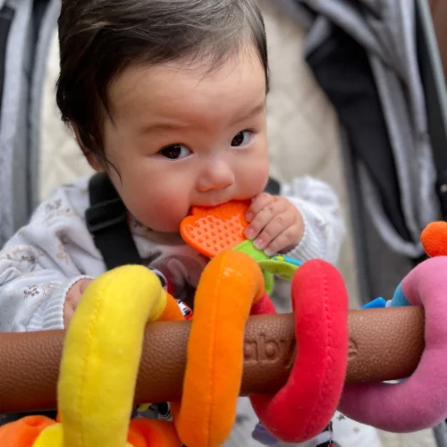 Playgro Boxspiraal Amazing Garden Twirly Whirly - Kinderwagen Speeltje - Activiteitenspiraal -Baby Verzorging 1200x1200 50