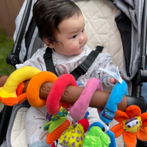 Playgro Boxspiraal Amazing Garden Twirly Whirly - Kinderwagen Speeltje - Activiteitenspiraal -Baby Verzorging 1200x1200 51