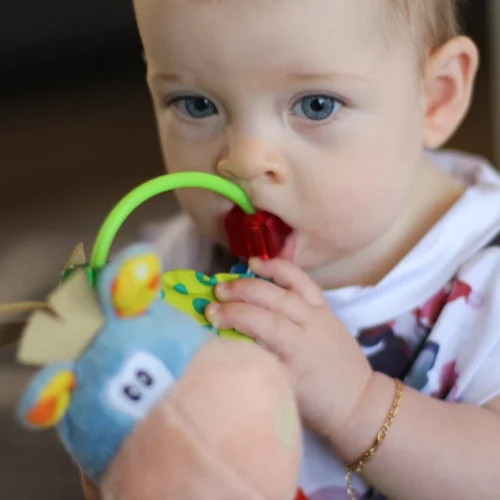 Playgro Clip Clop Rammelaar - Blauw - Activiteitenspeeltje - Kraamkado 12 Playgro Clip Clop Rammelaar - Blauw - Activiteitenspeeltje - Kraamkado -Baby Verzorging 1200x1200 82