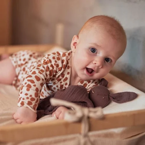 Jollein Speendoekje Bunny Ears - Chestnut -Baby Verzorging 1200x1200 913