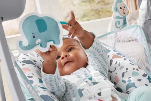 Fisher Price Fisher-Price Pacific Pebble Wipstoel - Draagbaar Schommelstoeltje -Baby Verzorging 1200x800 224