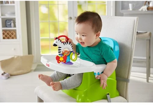 Fisher Price - Activity Zebra - Rammelaar - Speeltje En Bijtring - Grijpspeelgoed -Baby Verzorging 1200x835