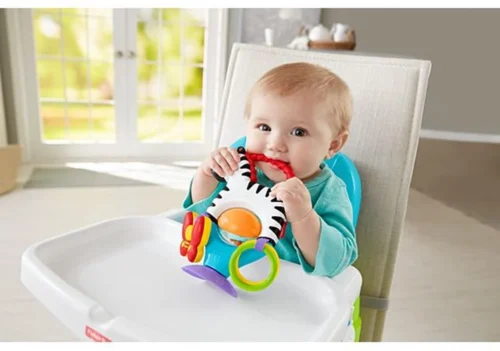 Fisher Price - Activity Zebra - Rammelaar - Speeltje En Bijtring - Grijpspeelgoed -Baby Verzorging 1200x842