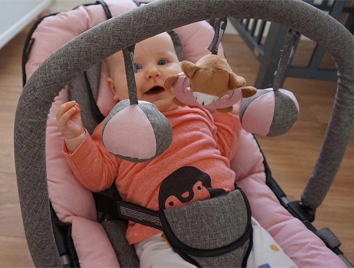 Baninni Wipstoel Admiro Roze-Grijs Baninni Wipstoel Admiro Roze-Grijs -Baby Verzorging 1200x911 1