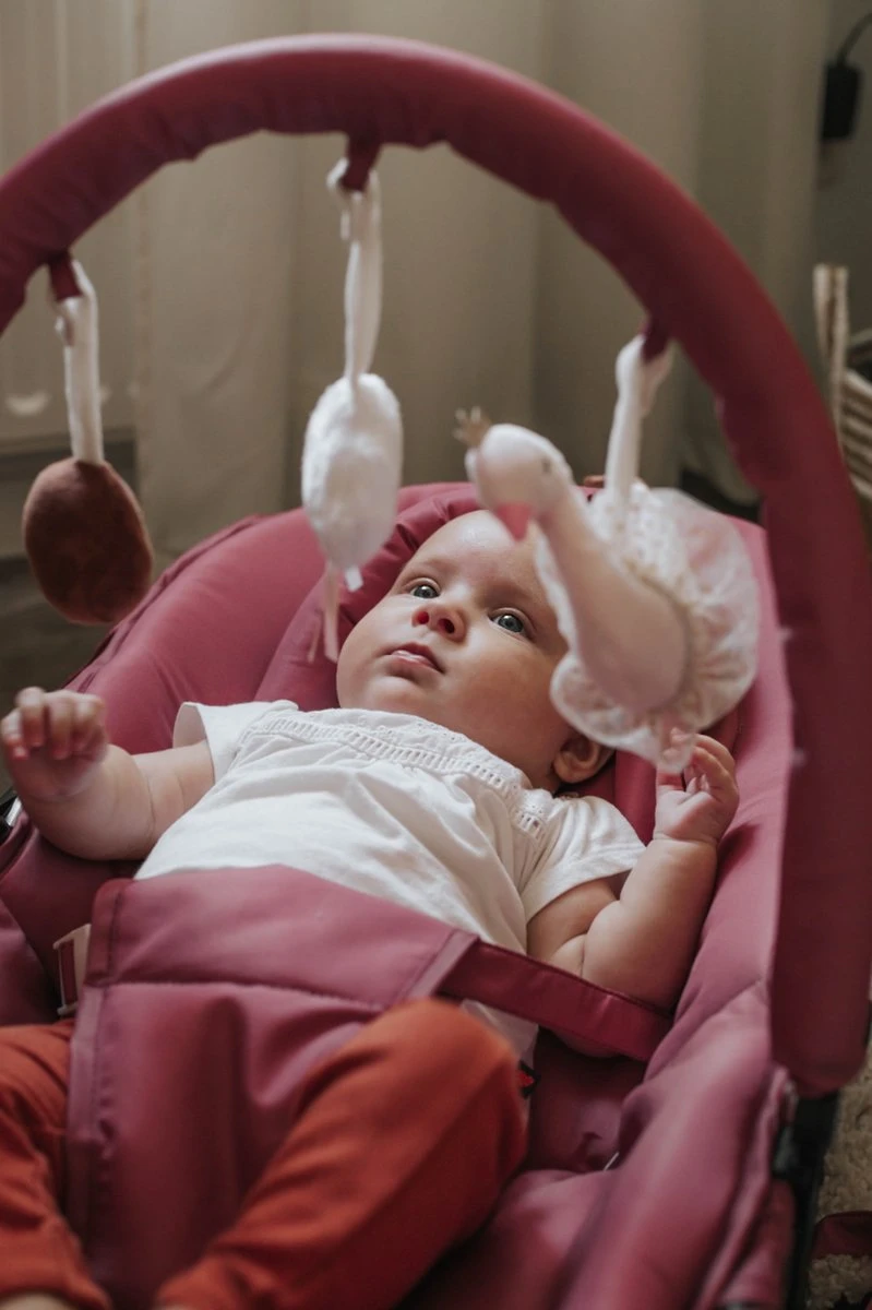 Tryco Leopard Lenny Zand Wipstoel TR-272702 Tryco Leopard Lenny Zand Wipstoel TR-272702 -Baby Verzorging 799x1200 44